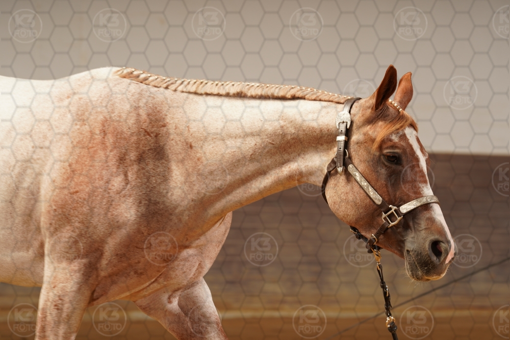 s_A9_08460.jpg